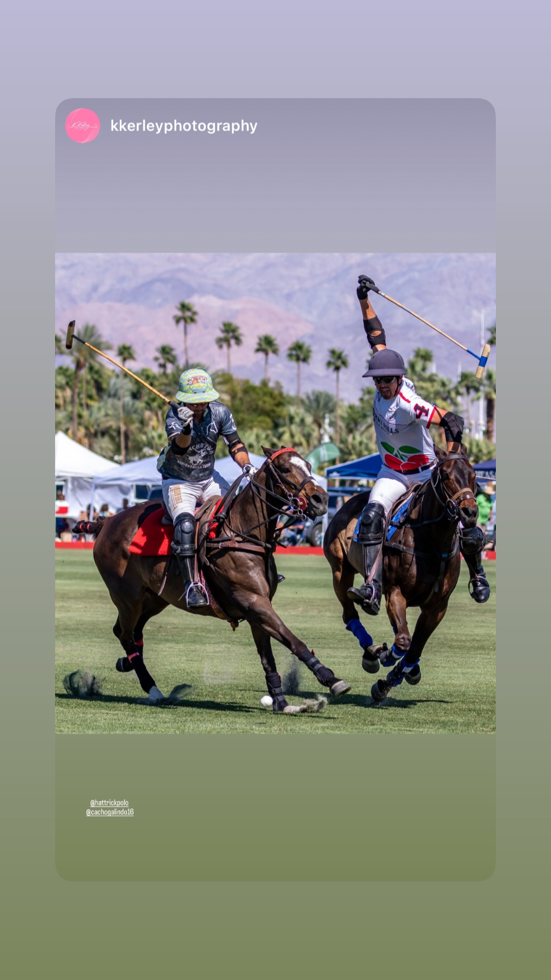 Jared Sheldon riding into a contested polo play