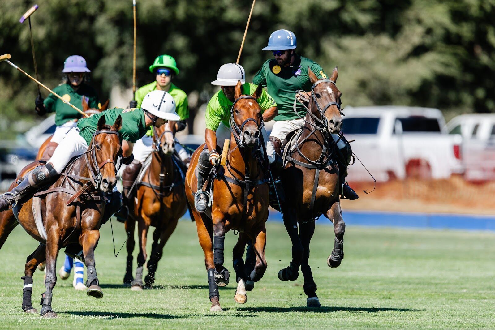Polo at Silicon Valley Polo Collective