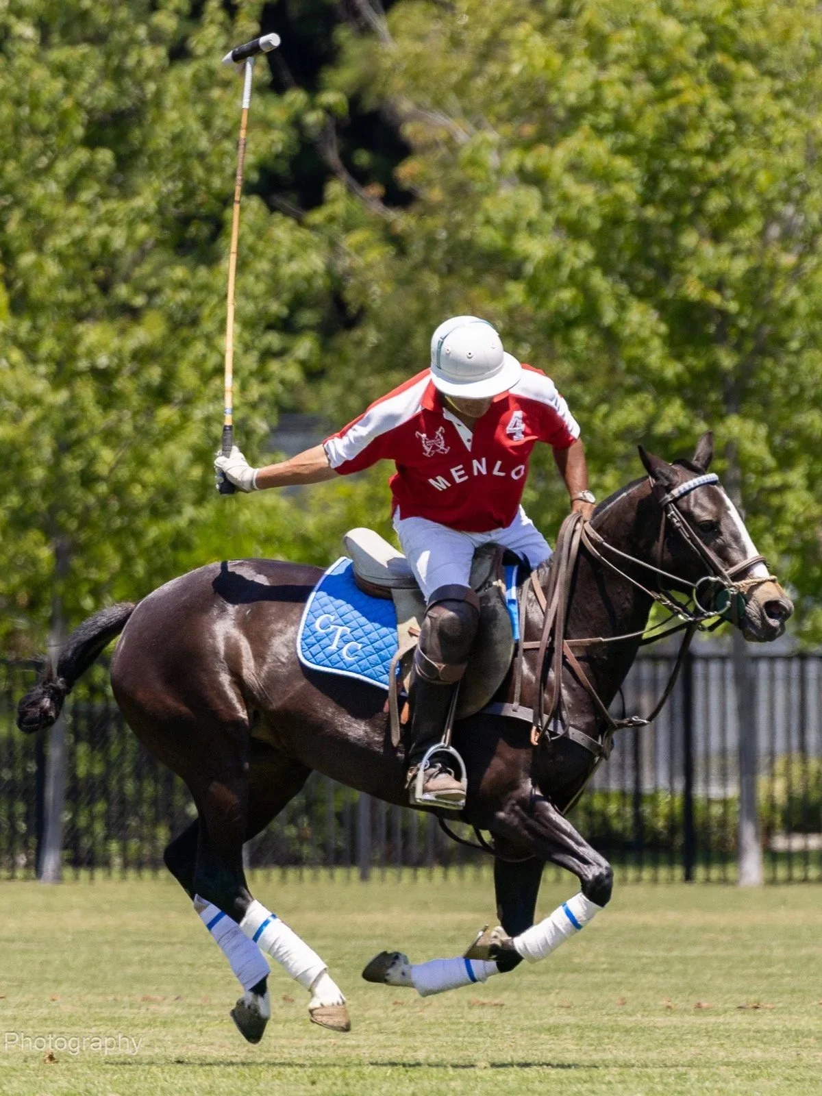 Santos working with a polo pony
